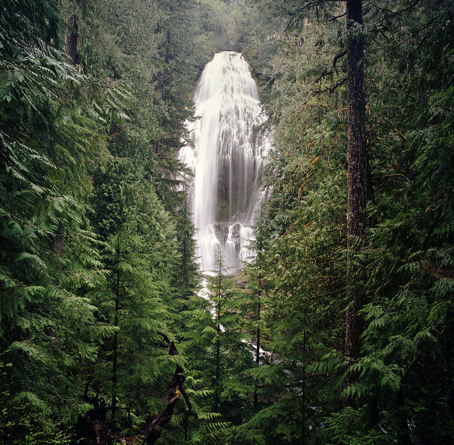 Waterfall Surrounded By A Forest Photograph by Danielle D. Hughson