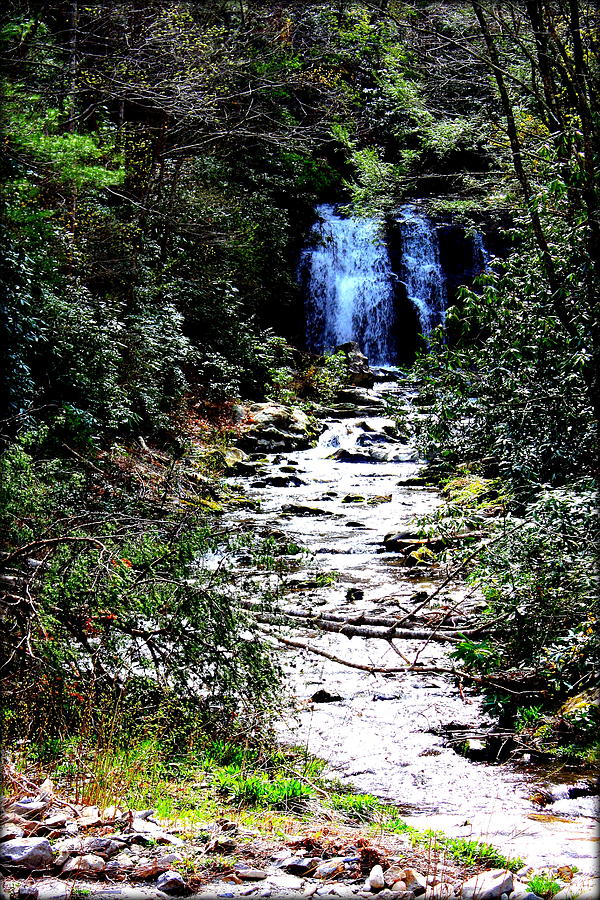 Waterfall Photograph by Susie Weaver
