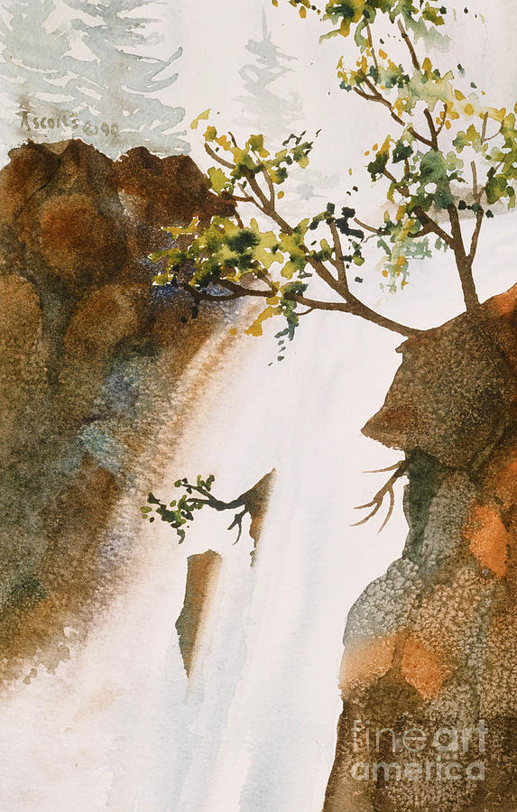 Waterfall Painting by Teresa Ascone