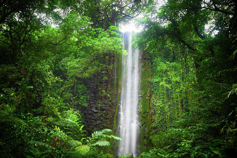 Waterfall Photograph by Tomml