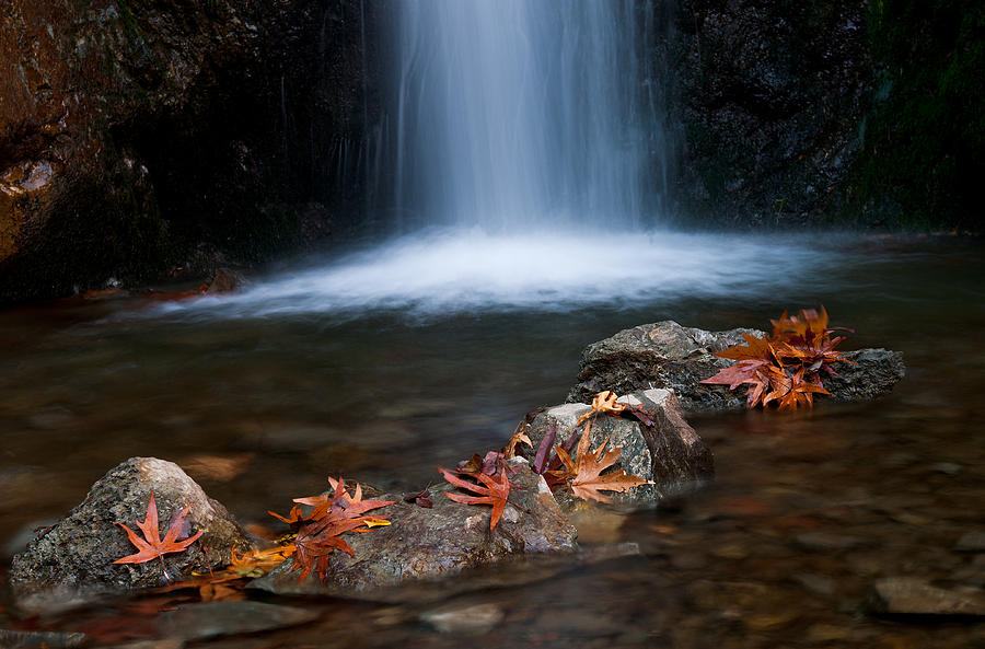 Waterfall and leaves in Autumn Photograph by Michalakis Ppalis