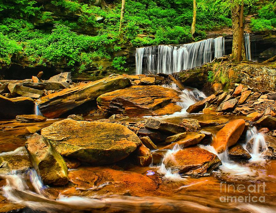 Nick S Waterfall House