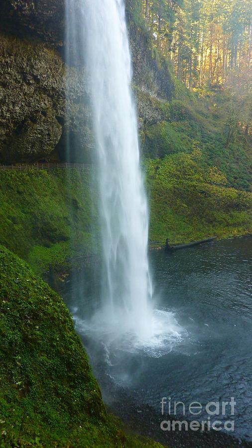 Waterfall View Photograph by Susan Garren