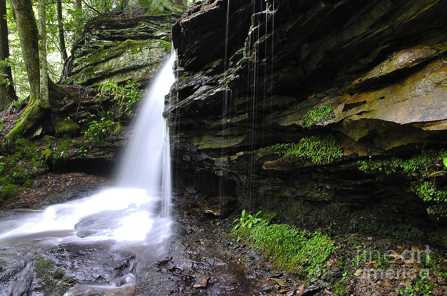 Waterfall Photograph - Waterfall Webster County West Virginia by Thomas R Fletcher