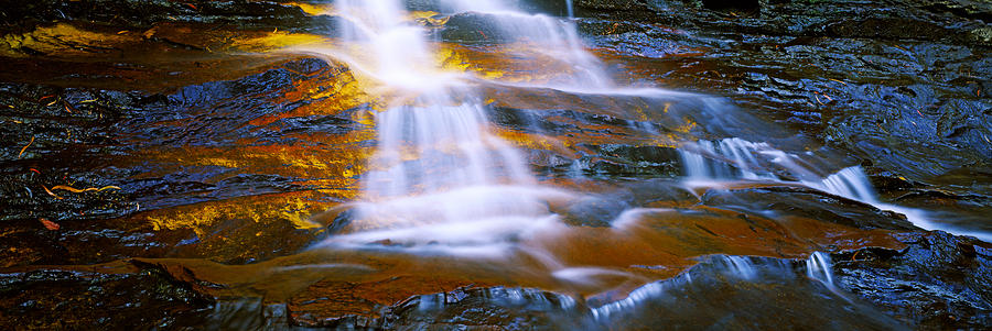 Nature Photograph - Waterfall, Wentworth Falls, Weeping by Panoramic Images