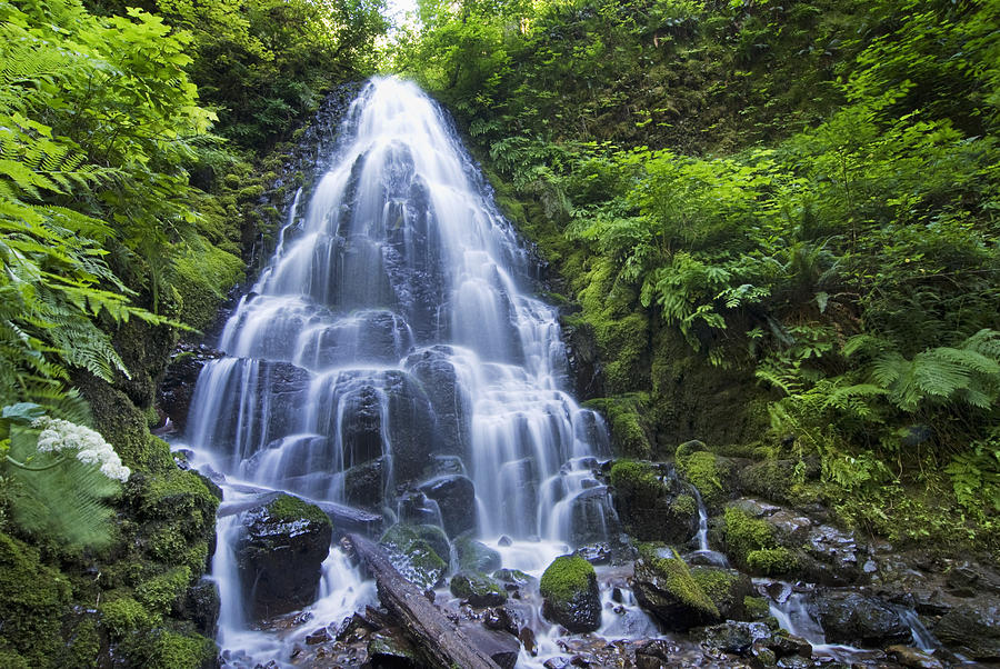 Waterfall With Lush Foliage Oregon Photograph by Philippe Widling ...