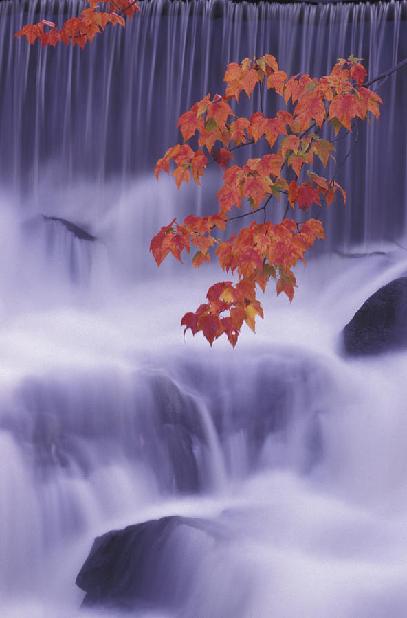 Waterfall With Red Maple Leaves Photograph by Chris Pinchbeck Waterfall With Red Maple Leaves Photograph by Chris Pinchbeck