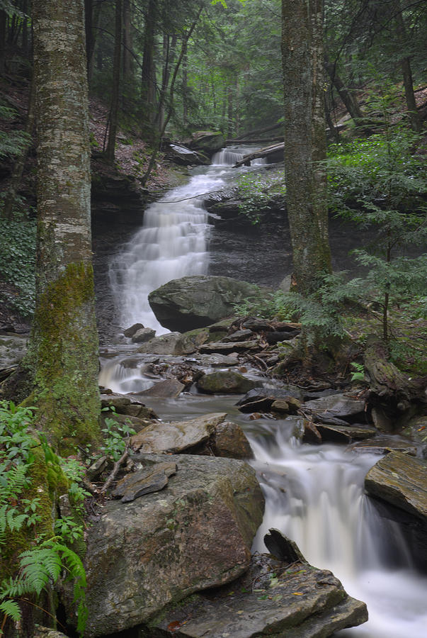 Waterfall Worlds End State Park Photograph by Eric Weiss - Fine Art America