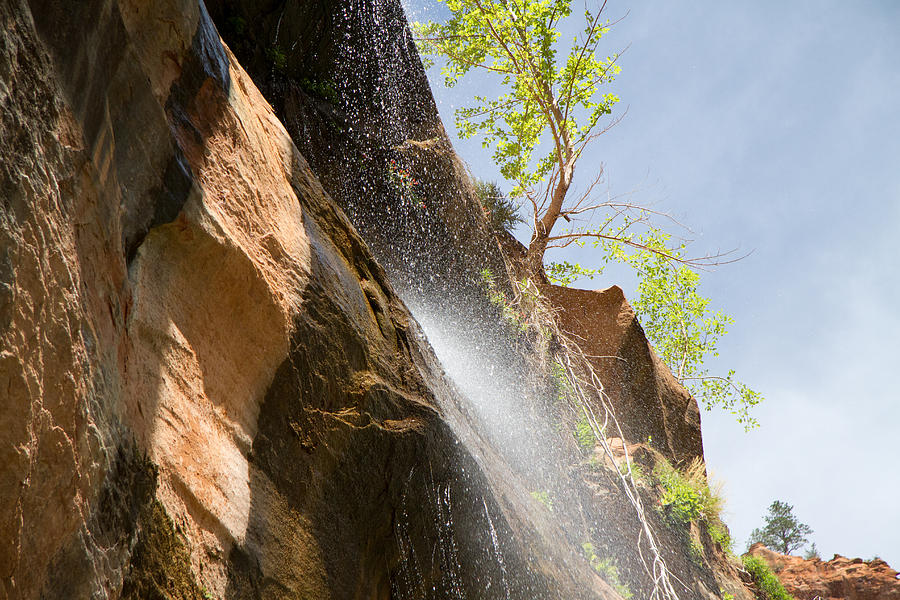 Waterfall Zion National Park Photograph by Natalie Rotman Cote