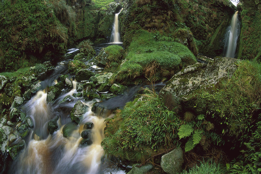 Waterfalls Amid Ferns And Mosses Gough Photograph by Tui De Roy