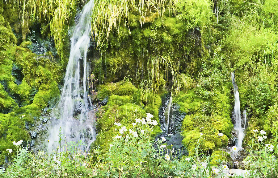 Waterfalls and Moss Photograph by L J Oakes