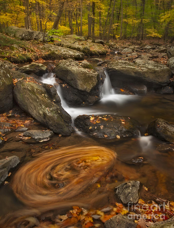 Waterfall Photograph - Waterfalls and Swirl by Susan Candelario