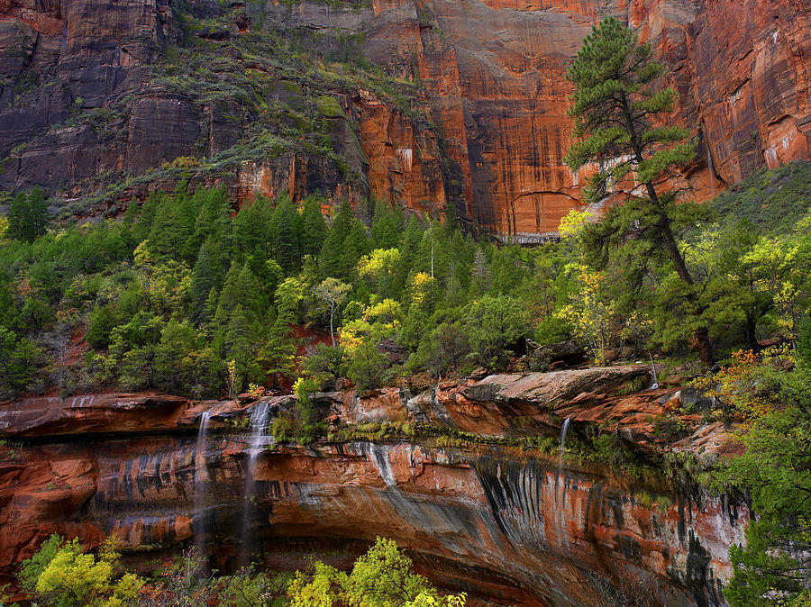 Waterfalls At Emerald Pools Zion Np Utah Photograph by Tim Fitzharris