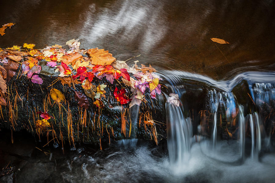 Waterfall Photograph - Waterfalls Childs National Park Painted    #1 by Rich Franco