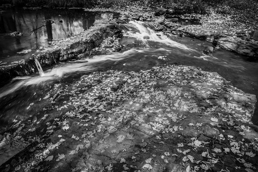 Waterfalls George W Childs National Park Painted BW Photograph by Rich Franco