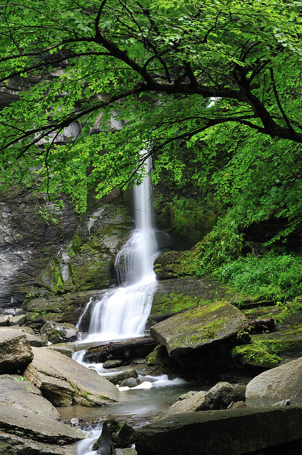 Waterfalls In Fillmore Glen State Park Photograph by Aimintang