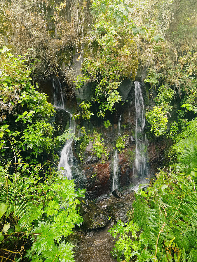 Waterfalls on La Palma Photograph by Karol Kozlowski - Fine Art America