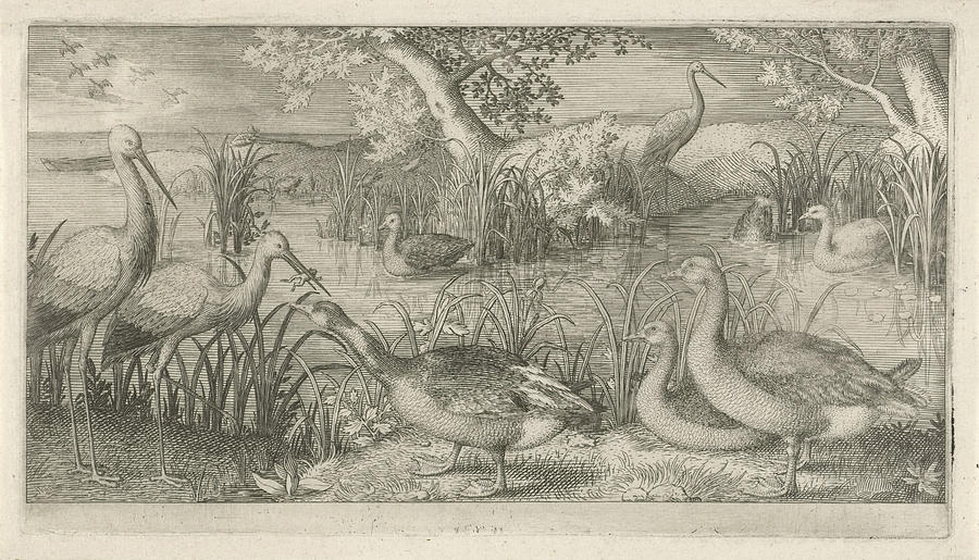 Landscape Drawing - Waterfowl In A Pond, Jan Van Londerseel by Jan Van Londerseel