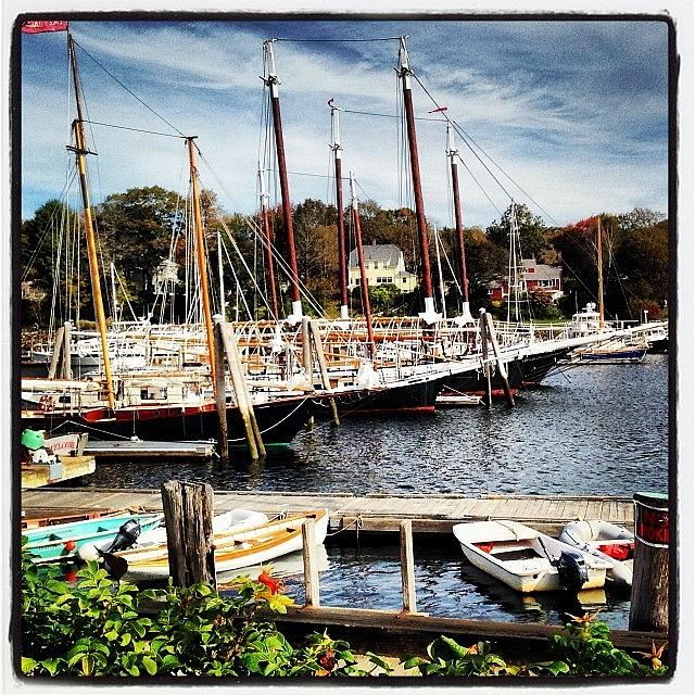 Dock Photograph - #waterfront At #camden #maine #sailboat by Joe Babich