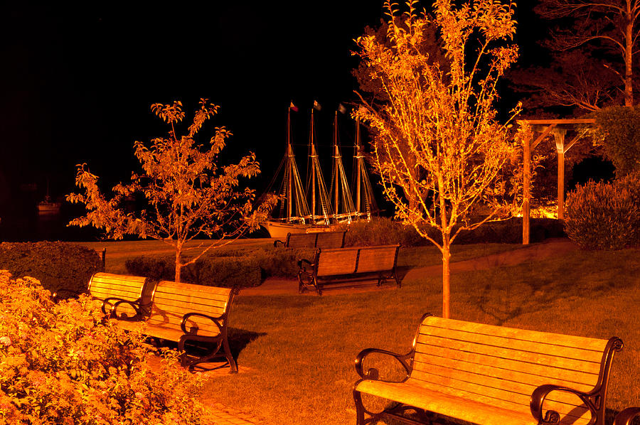Waterfront Park Photograph by Paul Mangold