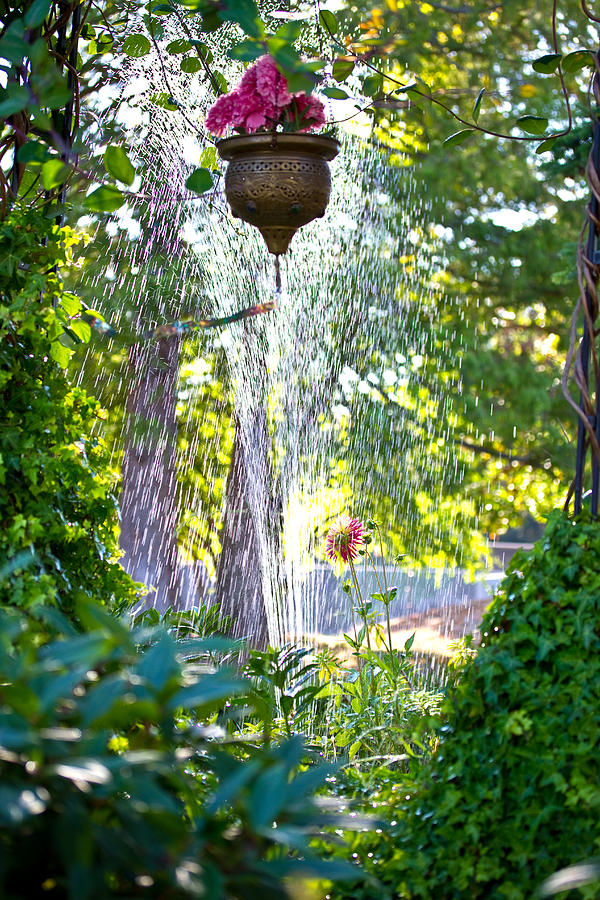 Watering the Garden Photograph by Marie Jamieson