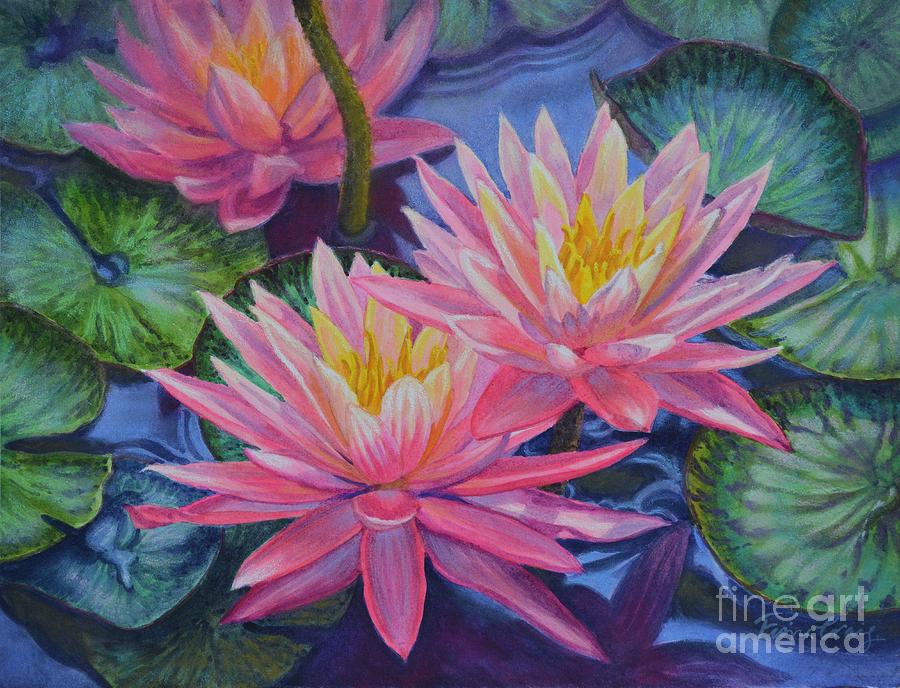 Flower Painting - Water Lilies 1 by Fiona Craig