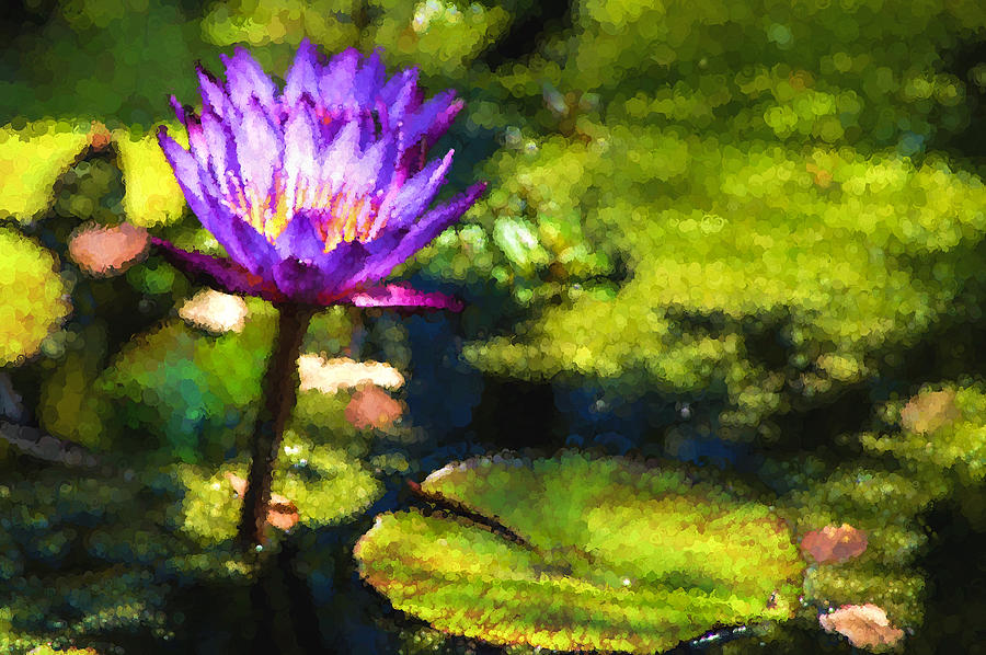 Waterlilies Impressions - Sunny Purple Pair Painting by Georgia Mizuleva