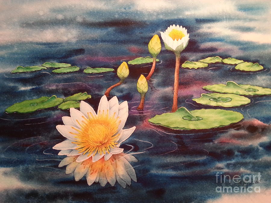 Lily Painting - Waterlilies  by TK Alexander