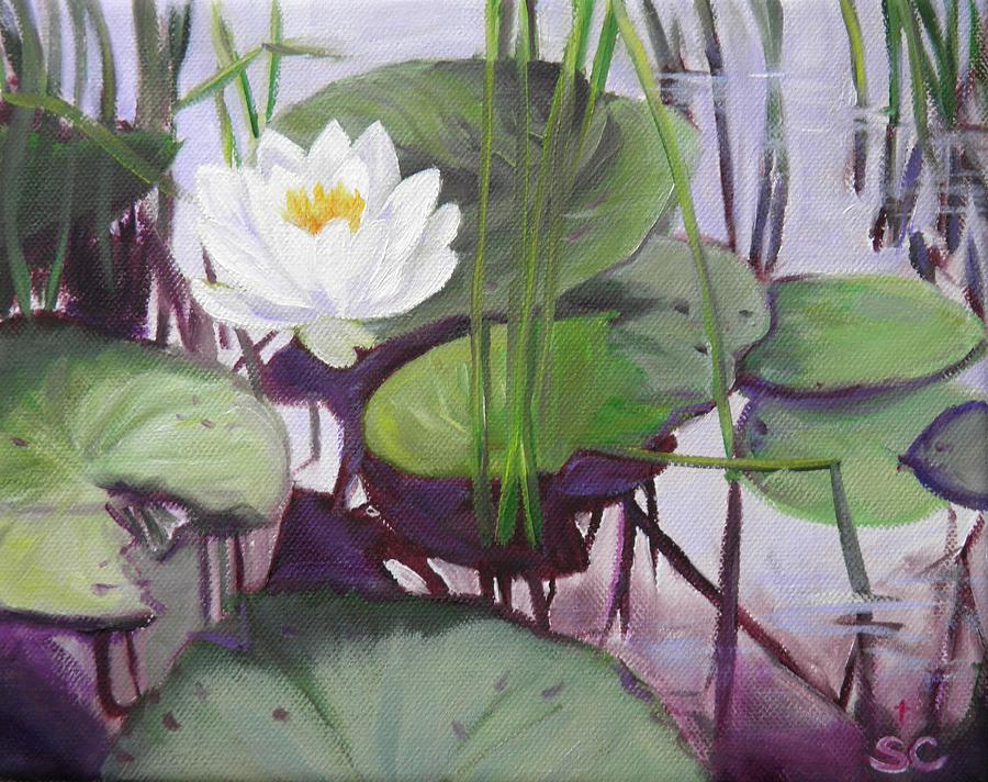 Waterlilly 1 Painting by Sharon Casavant