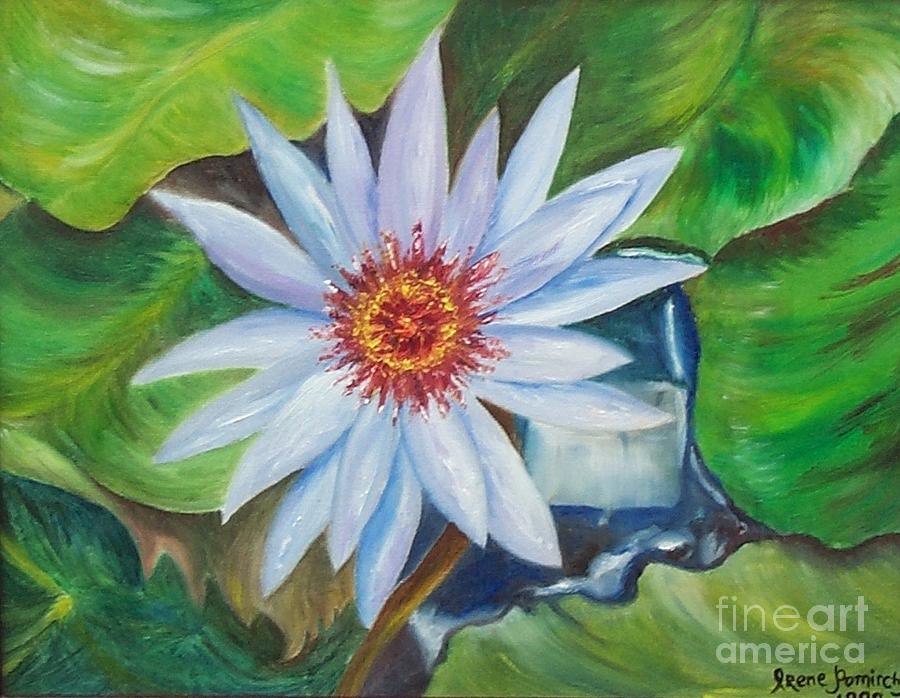 Lily Painting - Waterlily by Irene Pomirchy