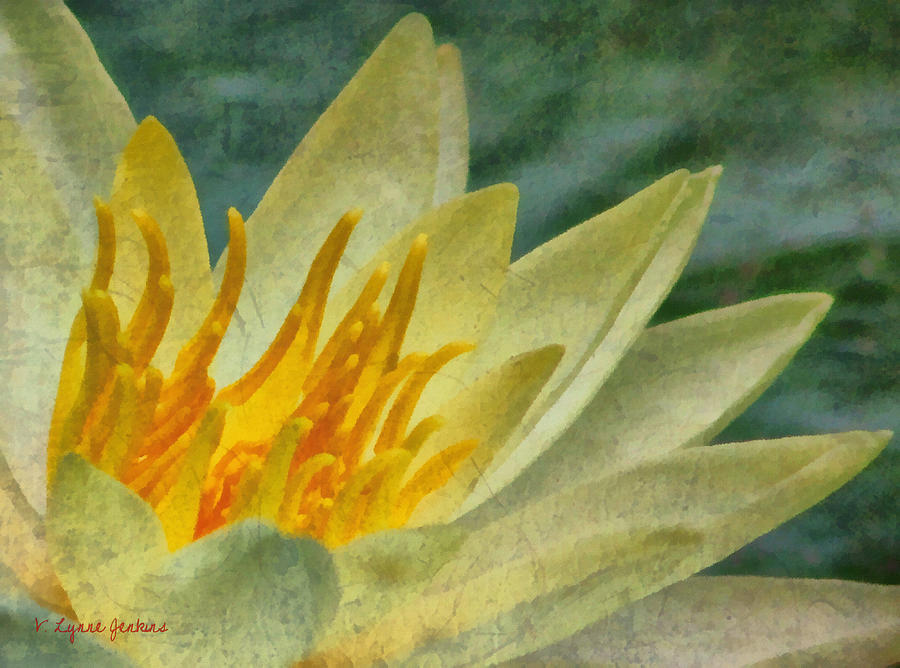 Waterlily Painting by Lynne Jenkins