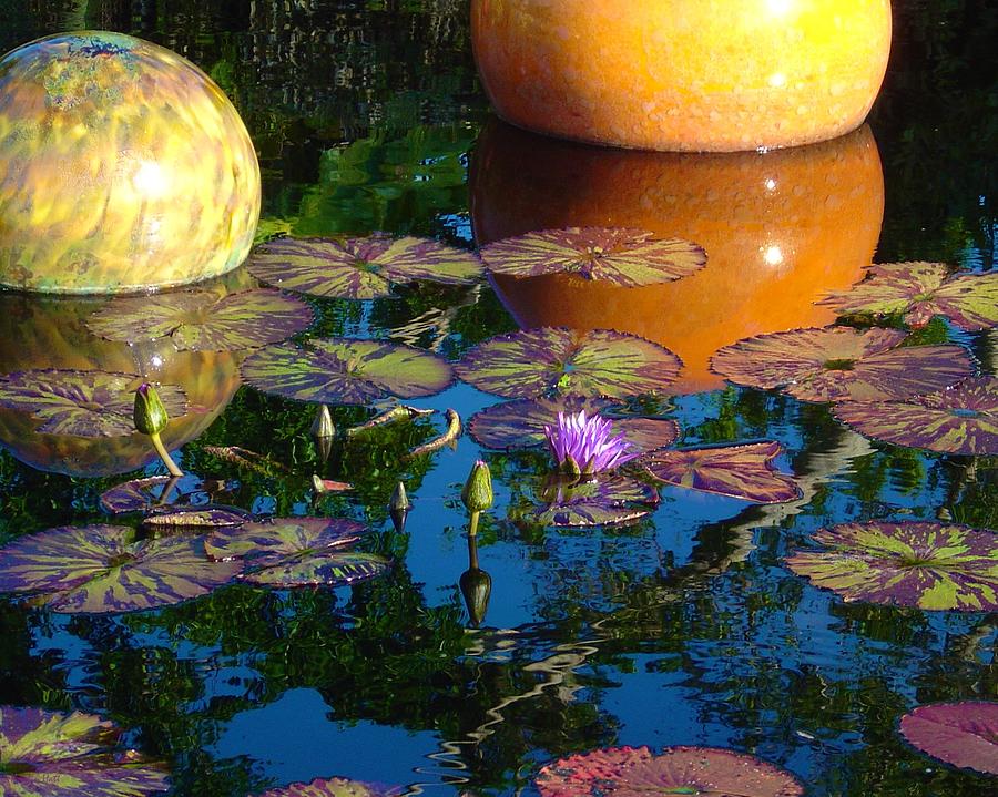 Waterlily Reflections Photograph by Kristin Hatt