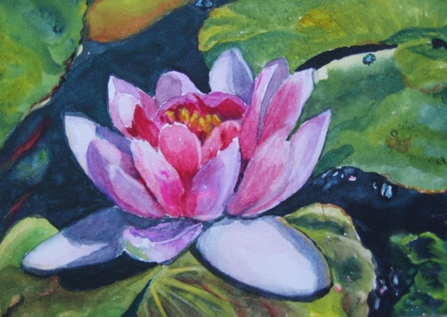 Waterlily Painting by Vicki Brevell