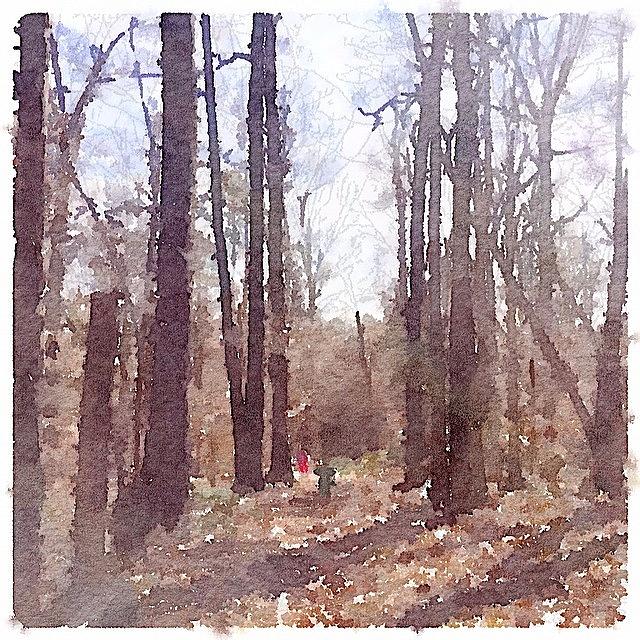 Waterlogue Photograph - #waterlogue Perfect Day For Walk In by Liz Behm