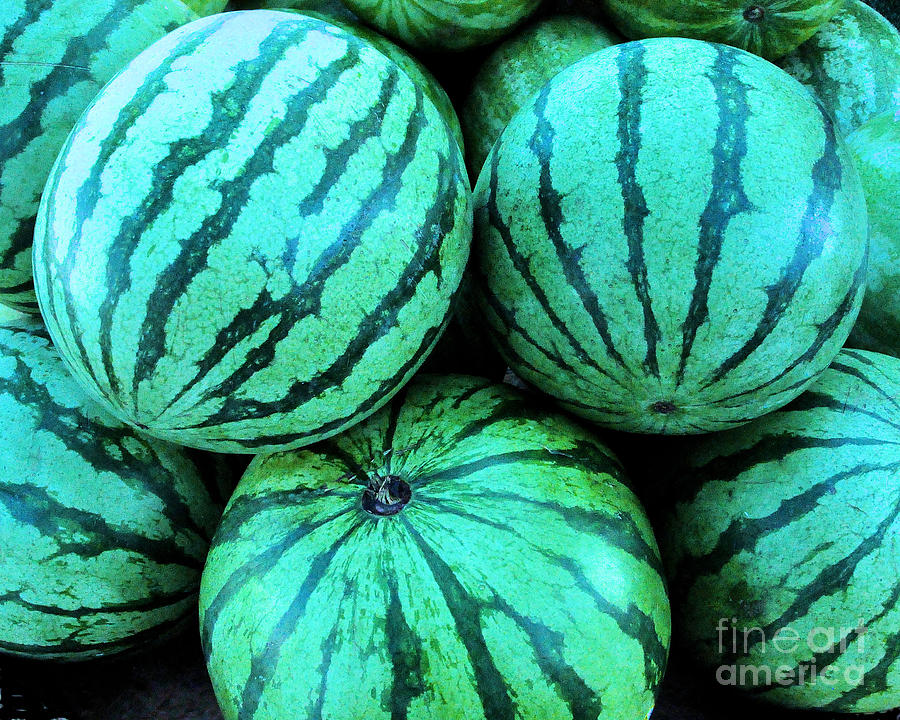 Fruit Photograph - Watermellons by David Call