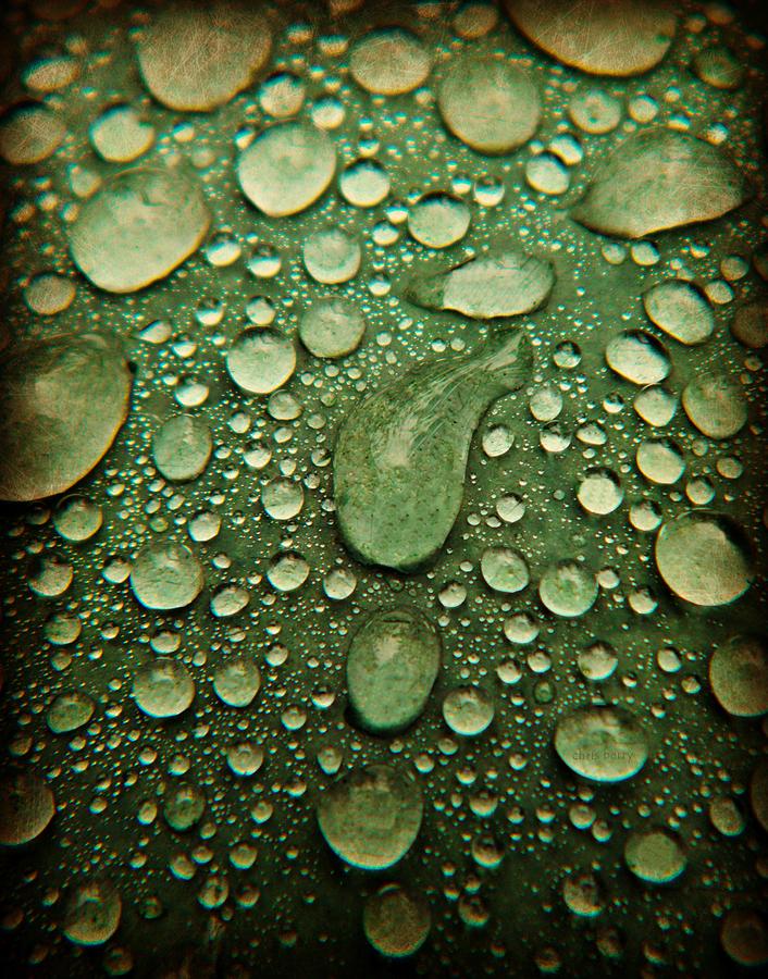 Raindrops on Watermelon Rind Photograph by Chris Berry