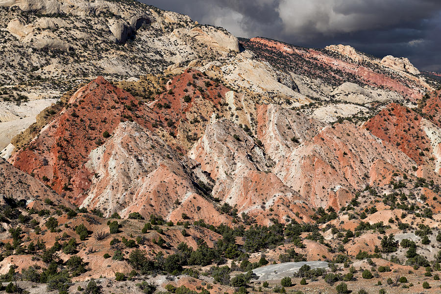 Capitol Reef National Park Photograph - Waterpocket Fold by Kathleen Bishop