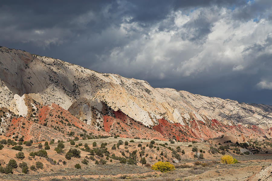Capitol Reef National Park Photograph - Waterpocket Fold Monocline by Kathleen Bishop