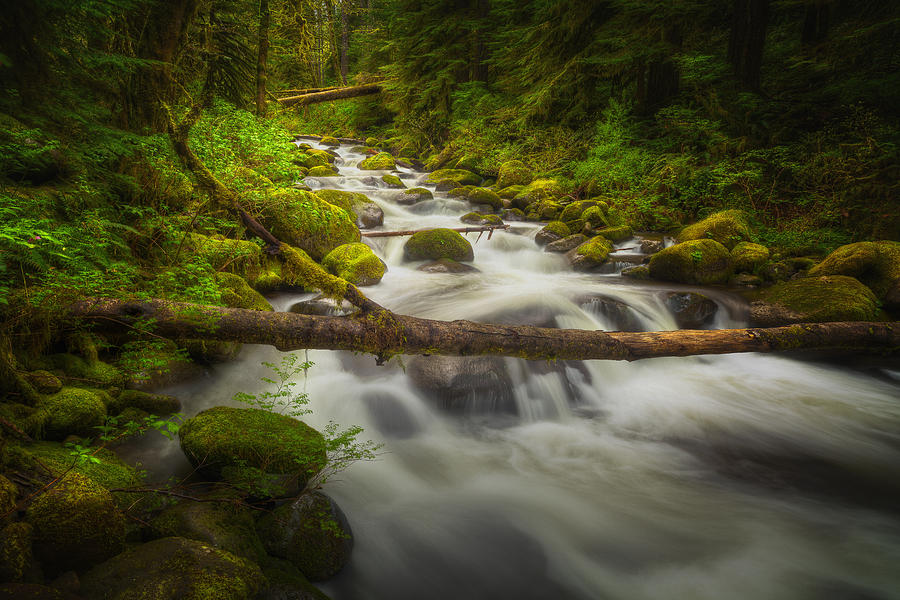 Water Photograph - Waters of Larch Mountain by Stuart Deacon Water Photograph - Waters of Larch Mountain by Stuart Deacon