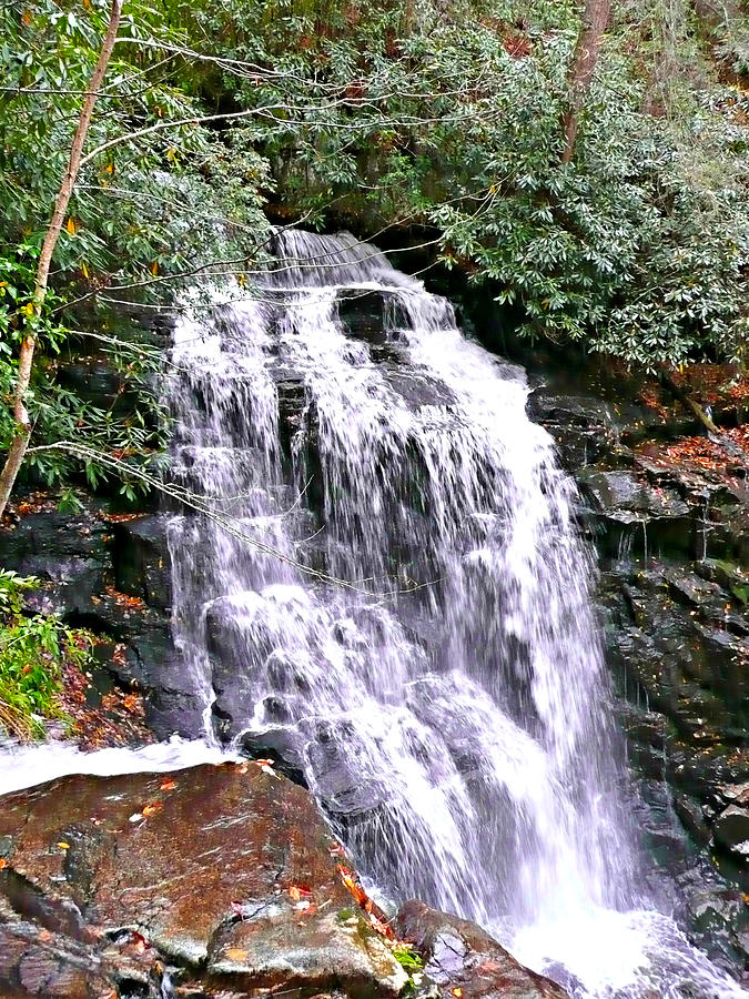 Water's Wisdom Photograph by Soul Full Sanctuary Photography