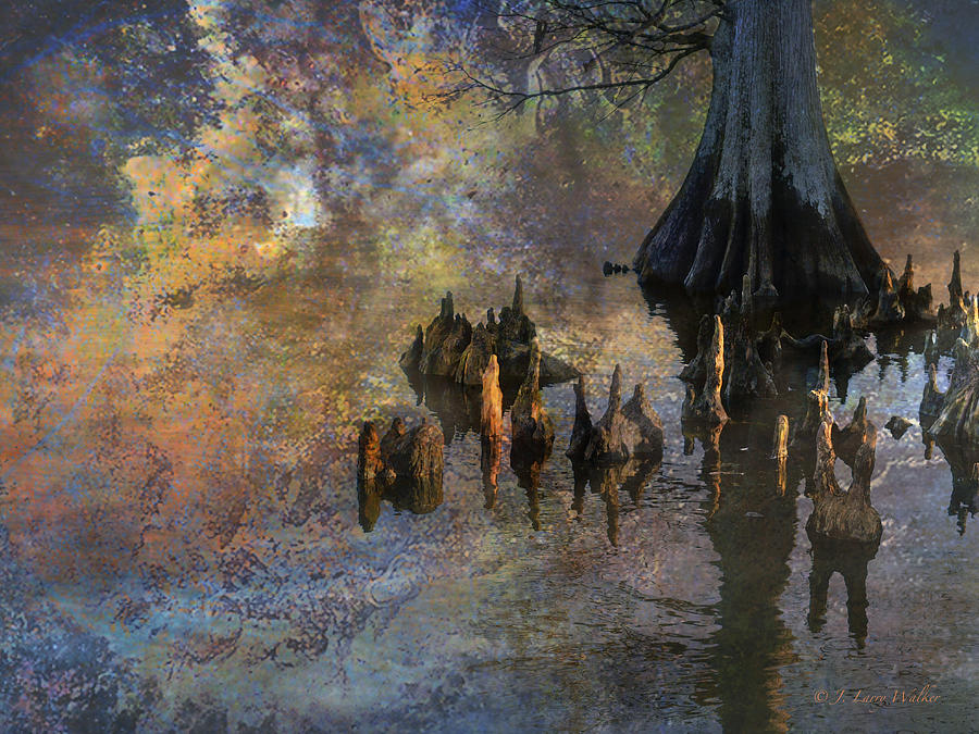 Waterscape-Cypress Knees Digital Art by J Larry Walker