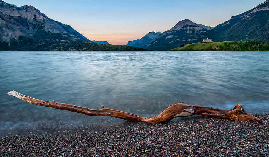 Tree Photograph - Waterton Lake with Prince of Wales Hotel by James Wheeler
