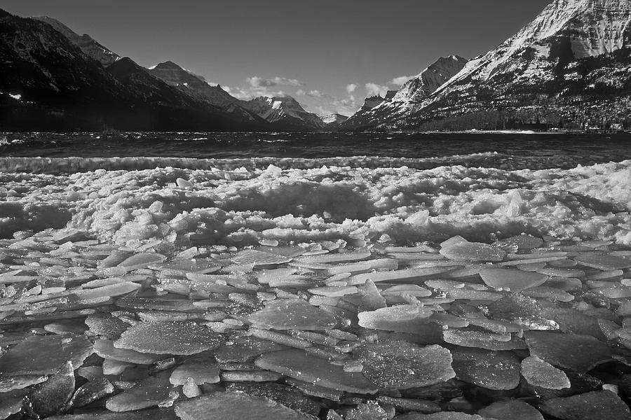 Waterton Winter Photograph by Inge Riis McDonald