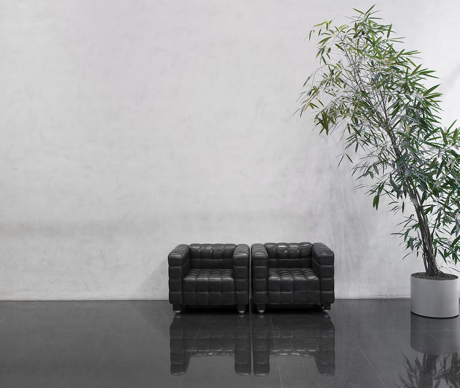 Wating area with two black chairs and a plant Photograph by Southerlycourse