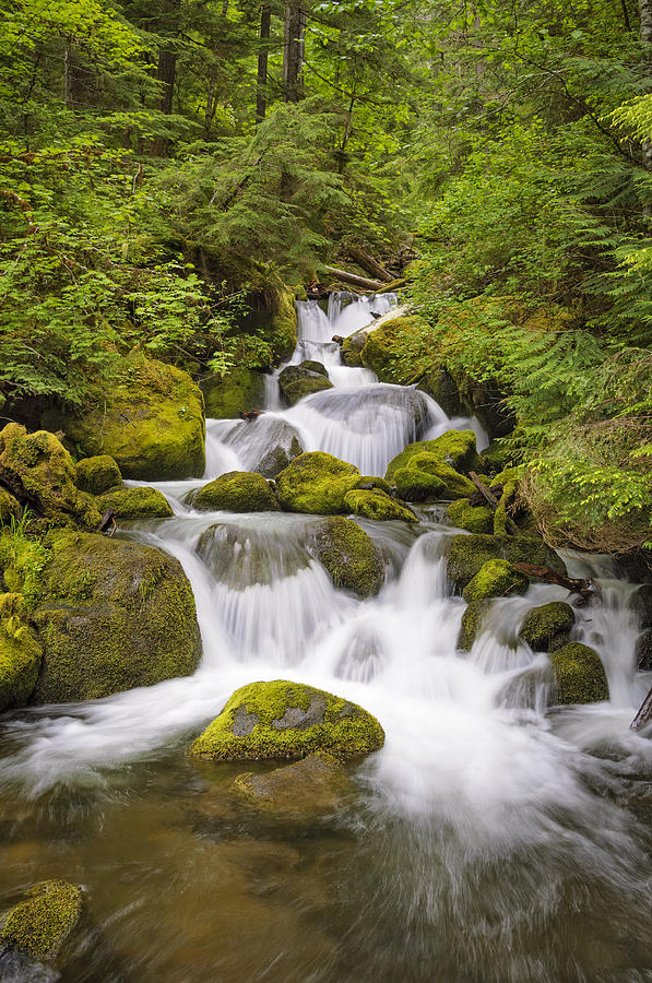 Watson Creek Waterfall Photograph by Greg Vaughn - Fine Art America