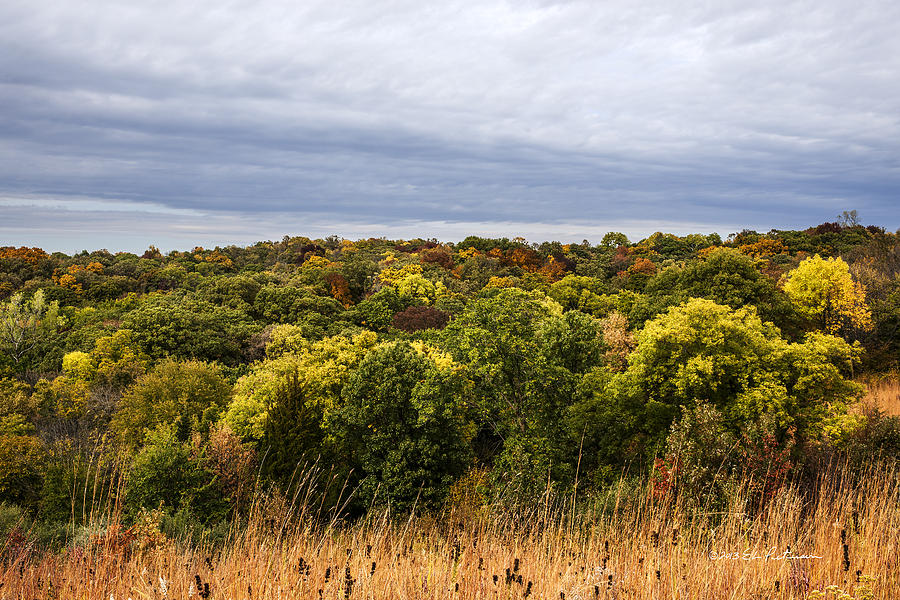 Waubonsie State Park In Fall Photograph by Ed Peterson