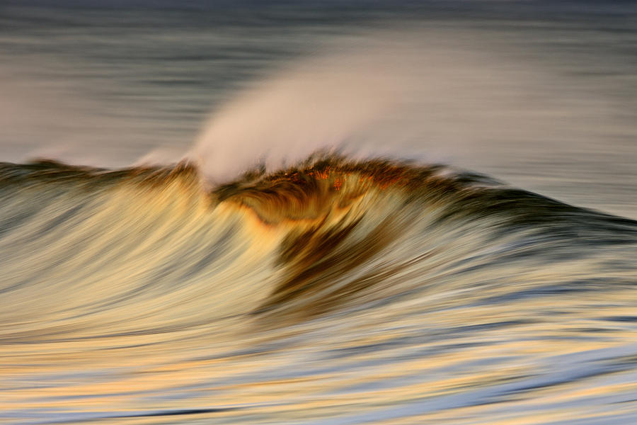 Wave C6J2640 Photograph by David Orias