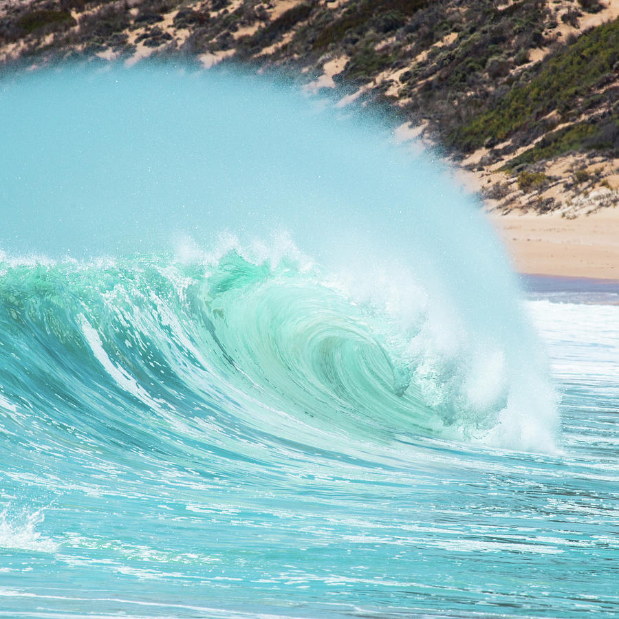 Wave Curl Photograph by Ann Clarke Images