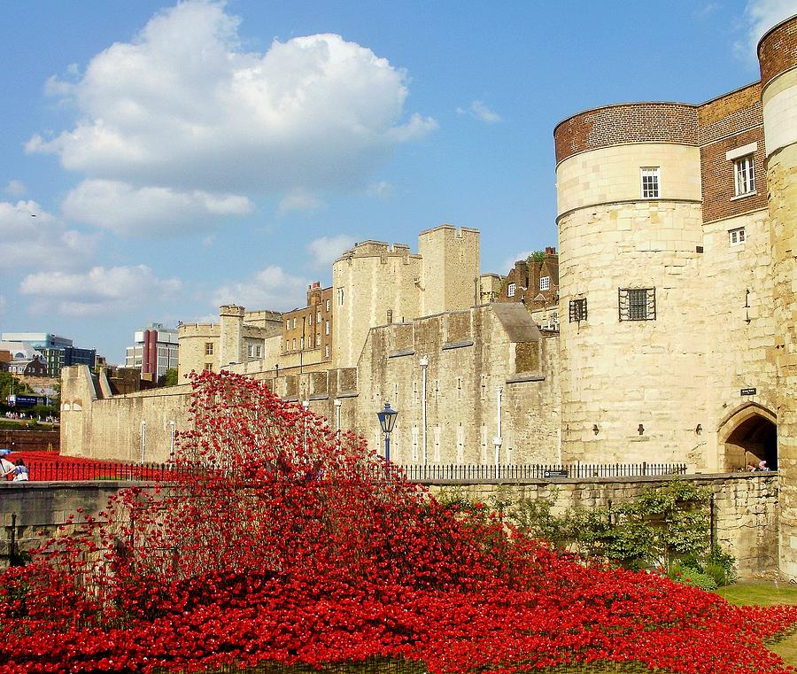 Tower Of London Photograph - Wave of Blood - Tower of London by Mary Poulton