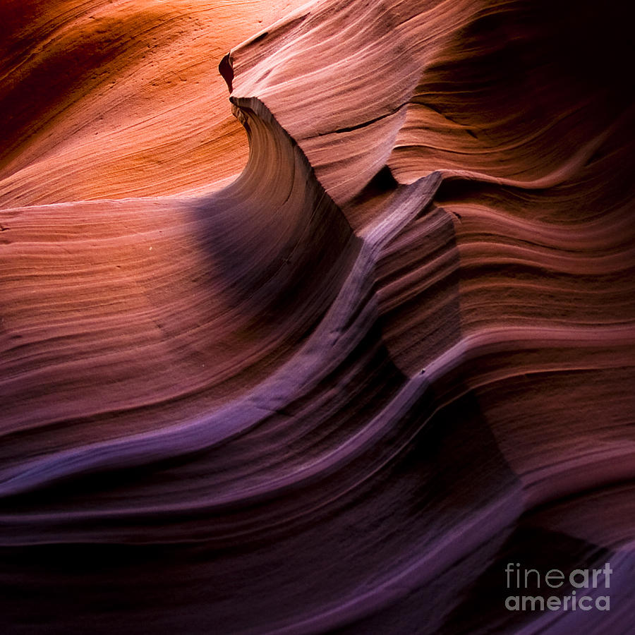 Wave of Color Photograph by Ryan Heffron
